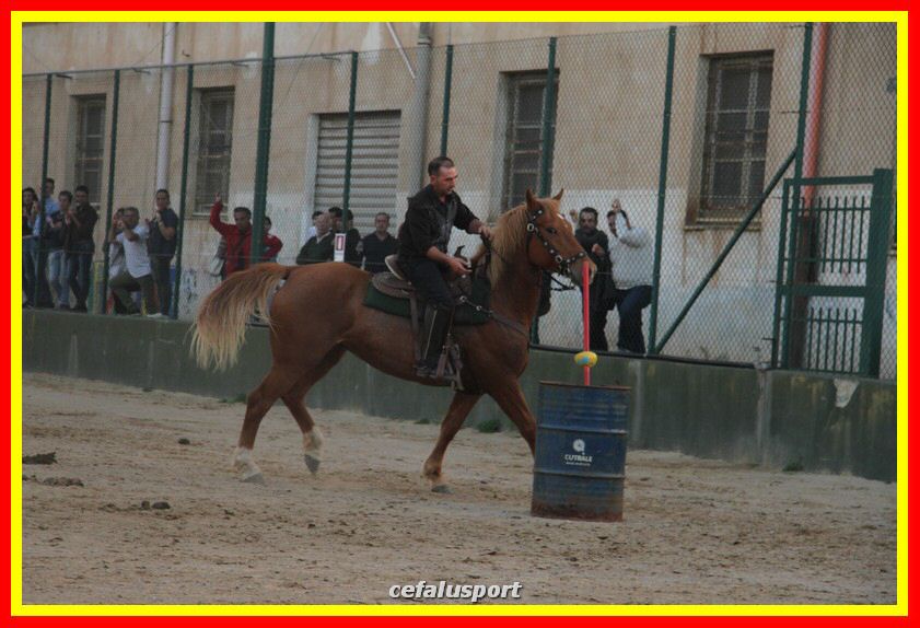 161106 equestre 045_tn.jpg